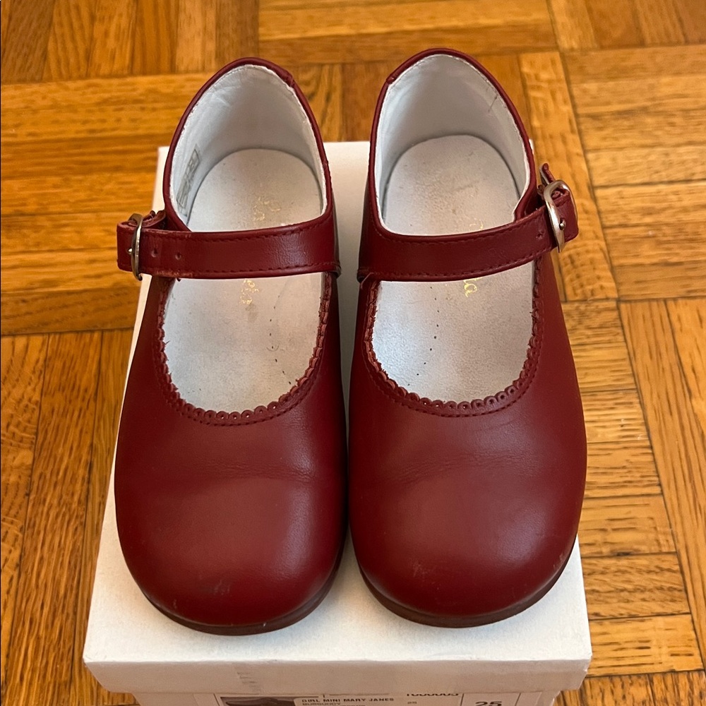 La Coqueta Burgundy Mary Jane Shoes